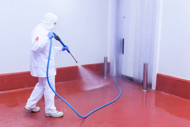 Best Driveway Cleaning and Restoration in Centuria, WI