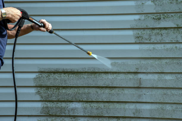 Best Vinyl Siding Pressure Washing in Centuria, WI